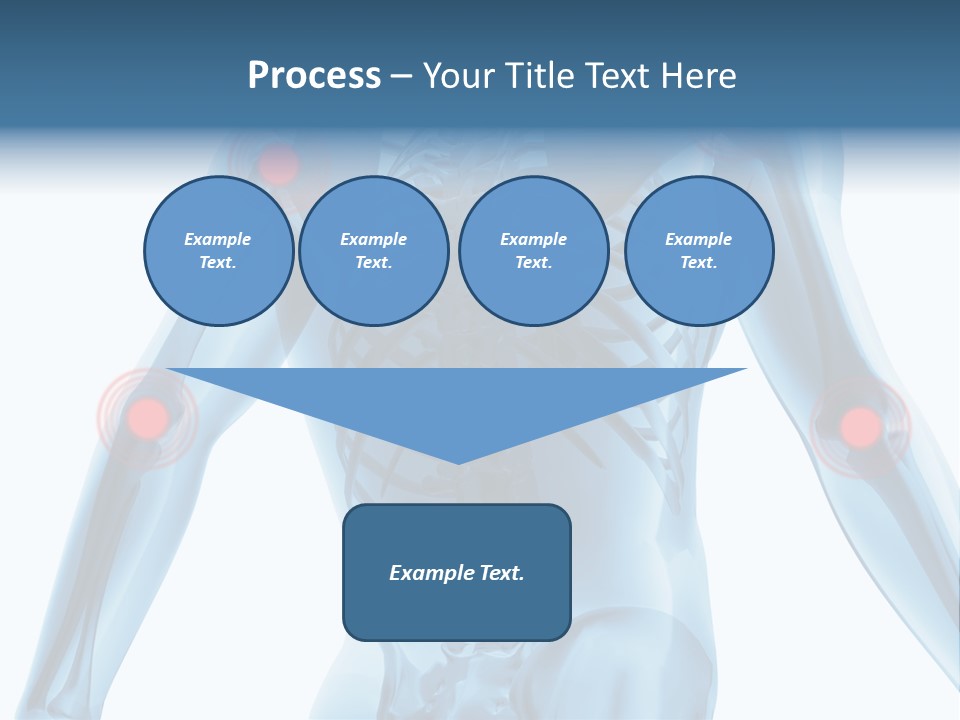 Hip Anatomy Medicine PowerPoint Template