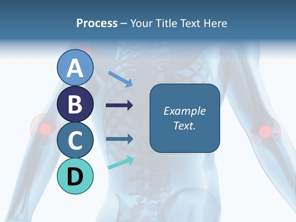 Hip Anatomy Medicine PowerPoint Template