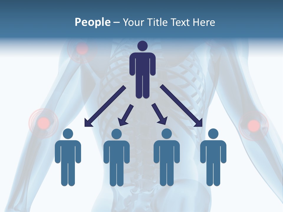Hip Anatomy Medicine PowerPoint Template