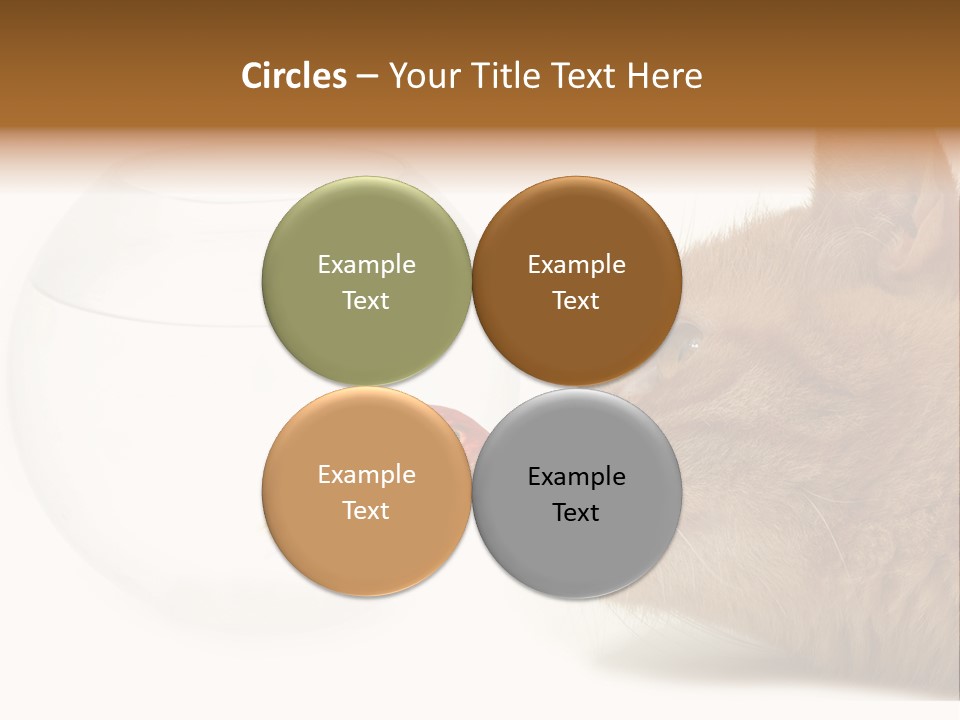 Project Cement Labor PowerPoint Template