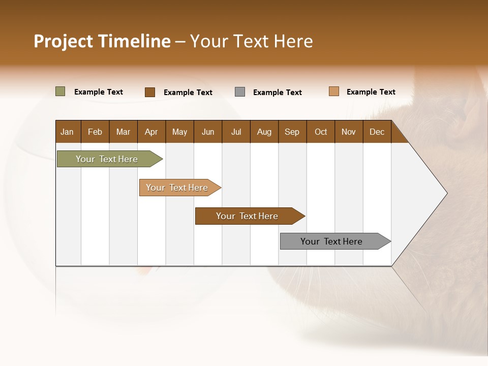Project Cement Labor PowerPoint Template