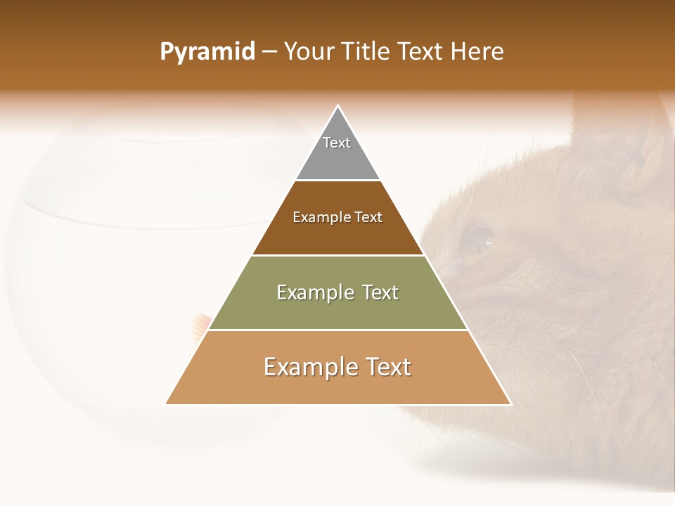 Project Cement Labor PowerPoint Template