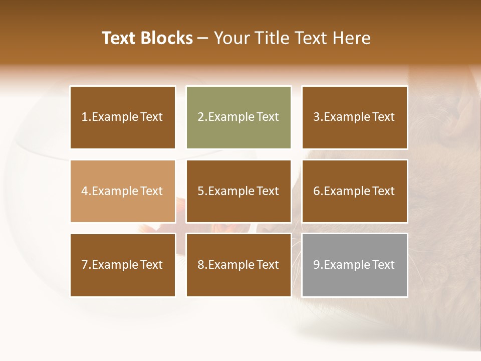 Project Cement Labor PowerPoint Template