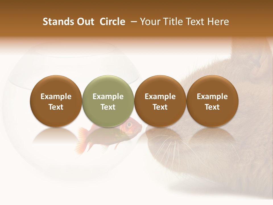 Project Cement Labor PowerPoint Template