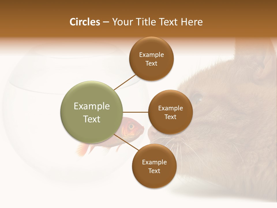 Project Cement Labor PowerPoint Template