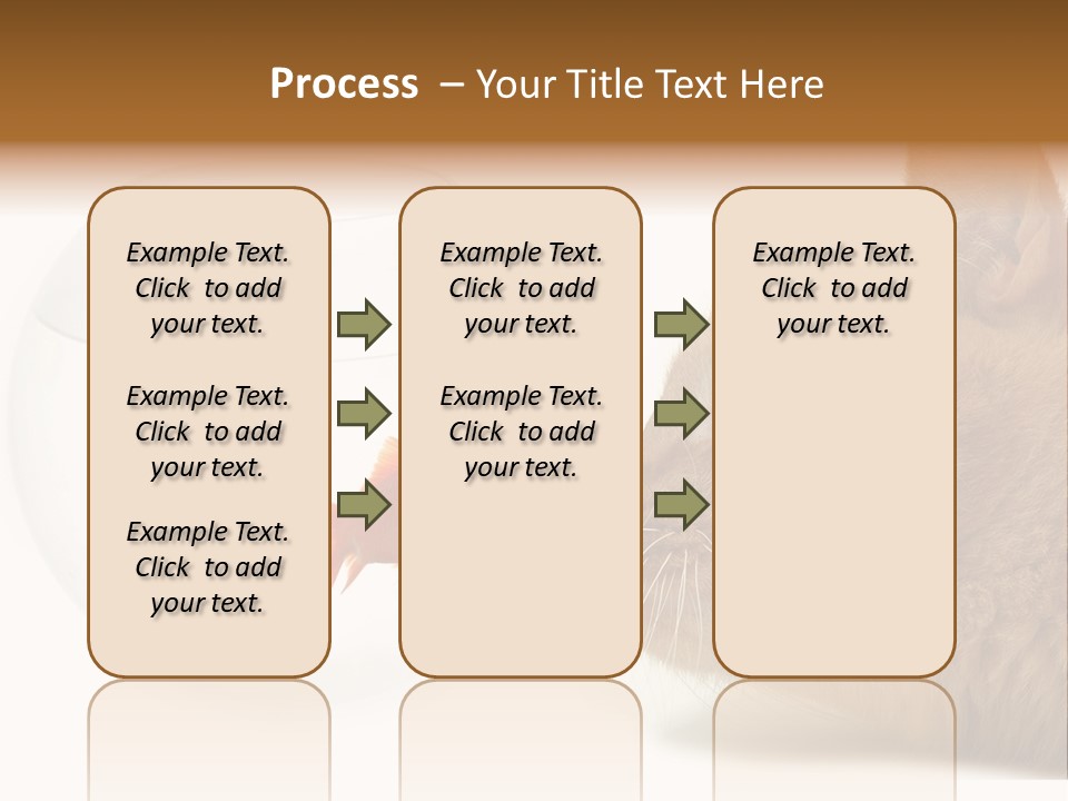 Project Cement Labor PowerPoint Template