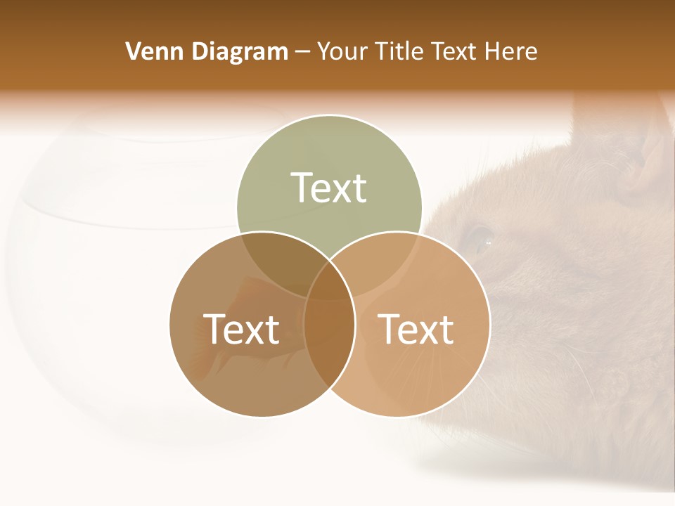 Project Cement Labor PowerPoint Template