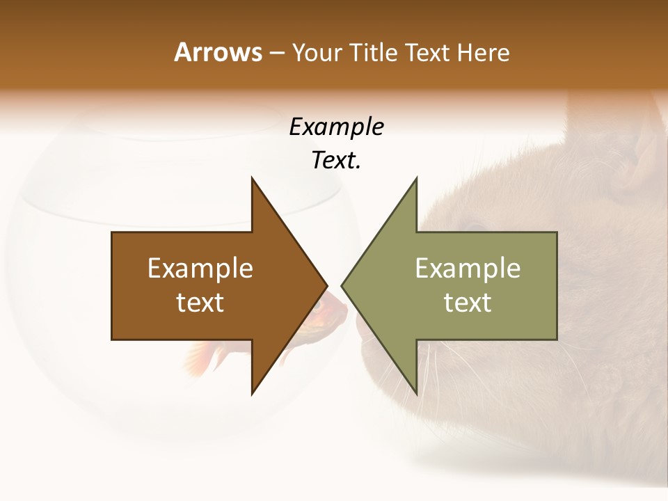 Project Cement Labor PowerPoint Template