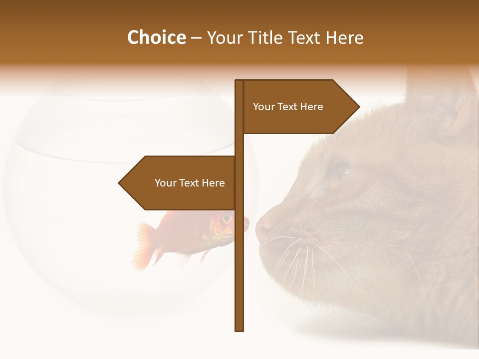 Project Cement Labor PowerPoint Template