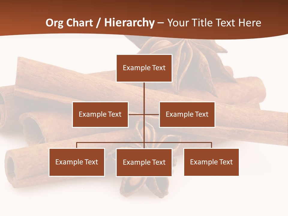 Food White Background Anise PowerPoint Template