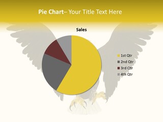 A Bald Eagle With Wings Spread Out PowerPoint Template