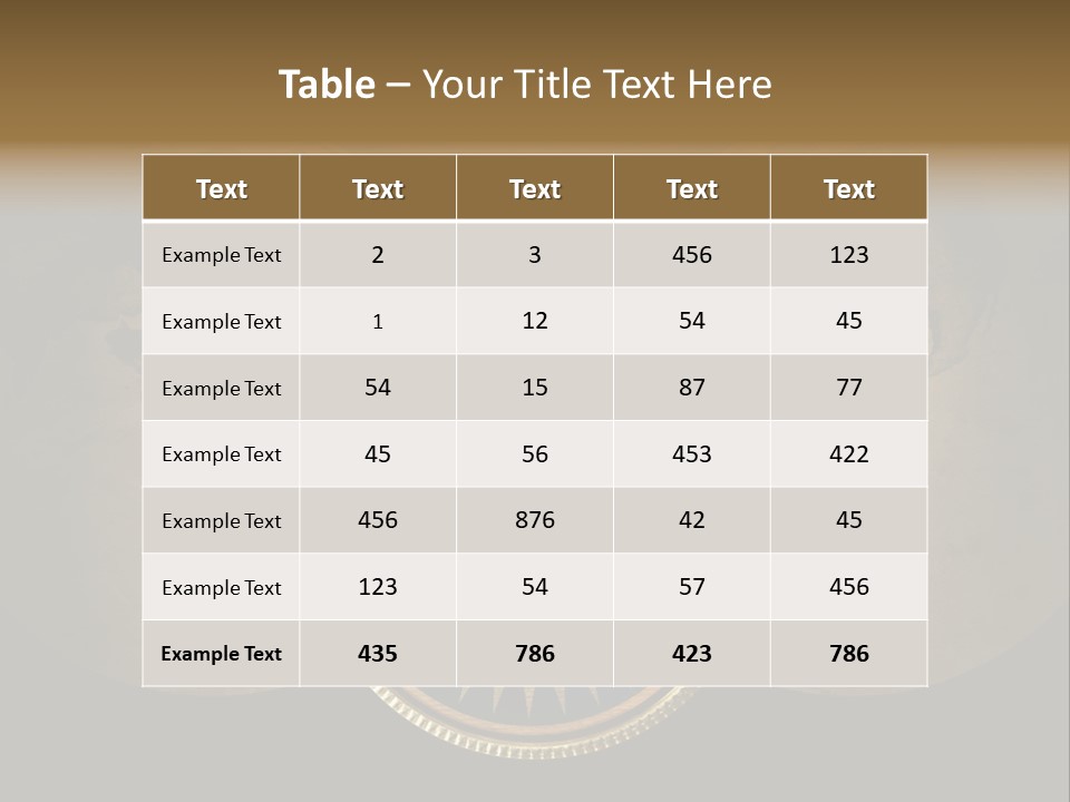 A Compass On Top Of A Globe Powerpoint Presentation PowerPoint Template