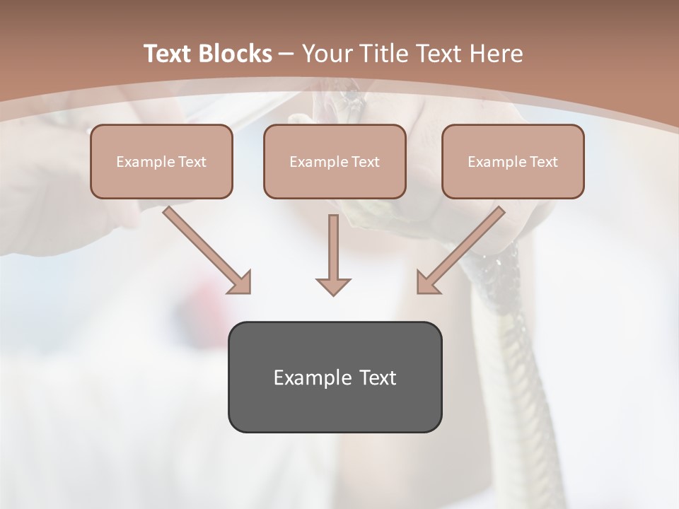 Caucasian Beauty Stretch PowerPoint Template