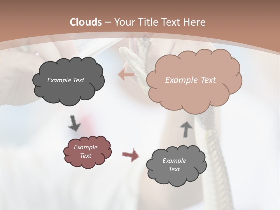 Caucasian Beauty Stretch PowerPoint Template