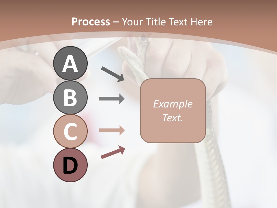 Caucasian Beauty Stretch PowerPoint Template