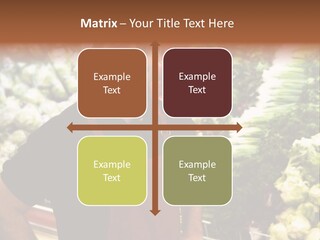 Construction Manual Manly PowerPoint Template