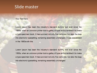 Construction Manual Manly PowerPoint Template