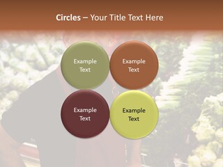 Construction Manual Manly PowerPoint Template