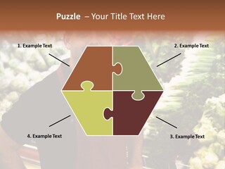 Construction Manual Manly PowerPoint Template