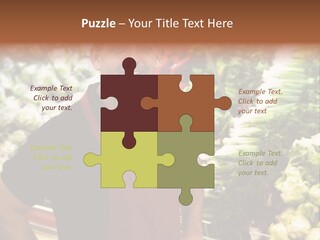 Construction Manual Manly PowerPoint Template