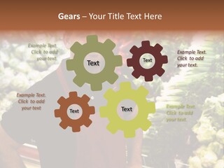 Construction Manual Manly PowerPoint Template