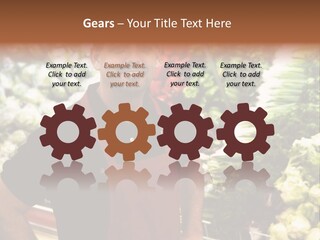 Construction Manual Manly PowerPoint Template