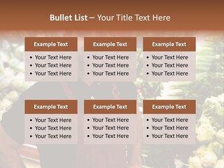 Construction Manual Manly PowerPoint Template