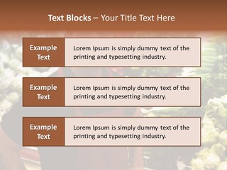 Construction Manual Manly PowerPoint Template