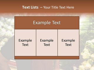 Construction Manual Manly PowerPoint Template