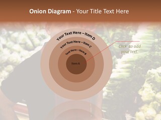 Construction Manual Manly PowerPoint Template