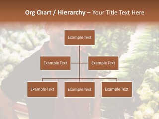 Construction Manual Manly PowerPoint Template