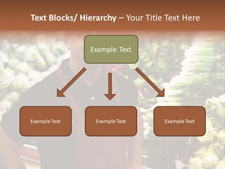 Construction Manual Manly PowerPoint Template
