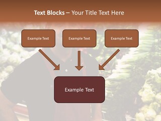Construction Manual Manly PowerPoint Template
