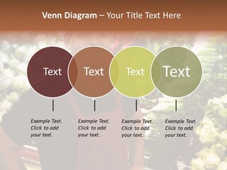 Construction Manual Manly PowerPoint Template