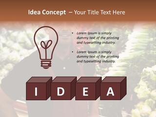 Construction Manual Manly PowerPoint Template