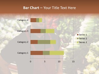 Construction Manual Manly PowerPoint Template