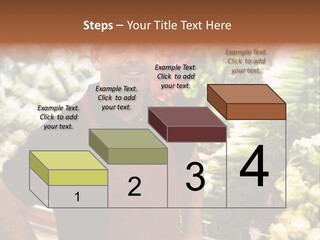 Construction Manual Manly PowerPoint Template