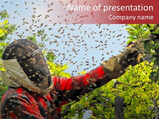 Country Honey Apiary PowerPoint Template