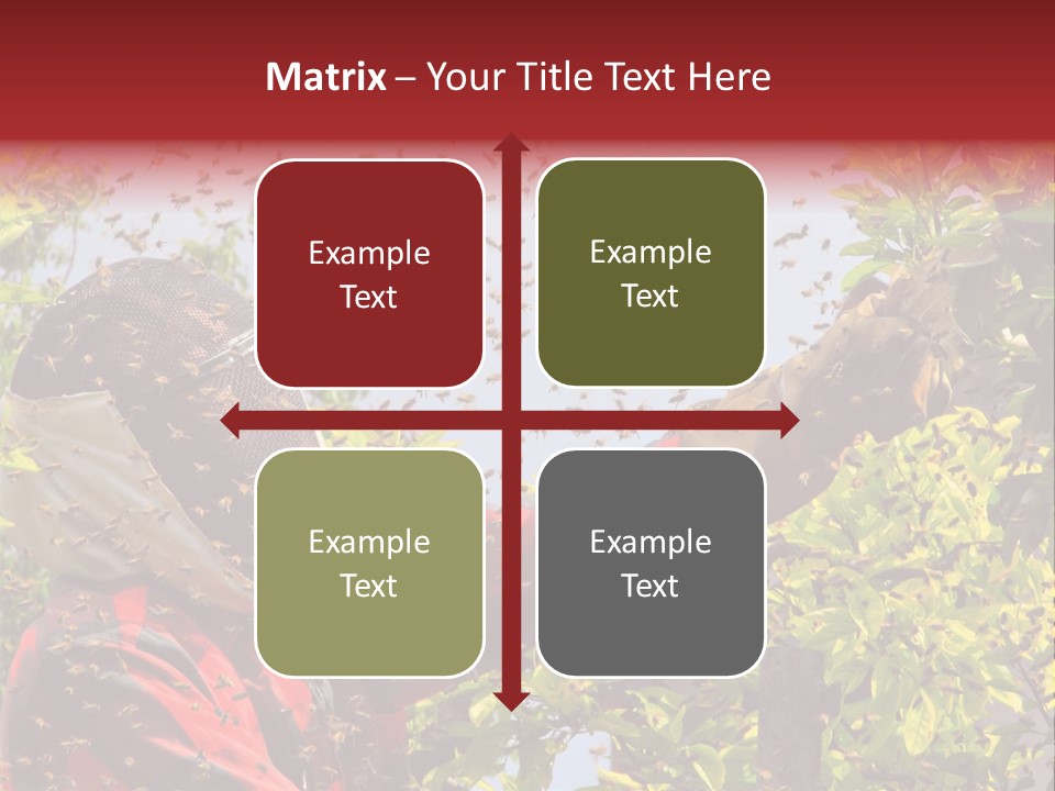 Country Honey Apiary PowerPoint Template