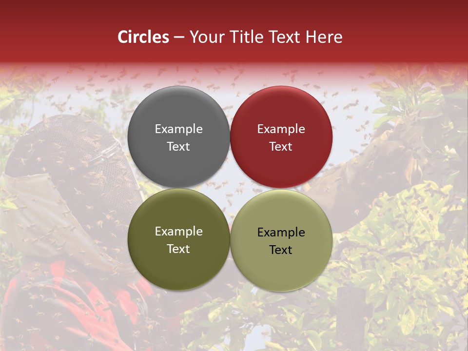 Country Honey Apiary PowerPoint Template