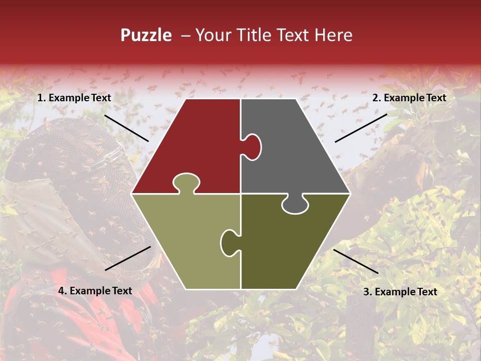 Country Honey Apiary PowerPoint Template