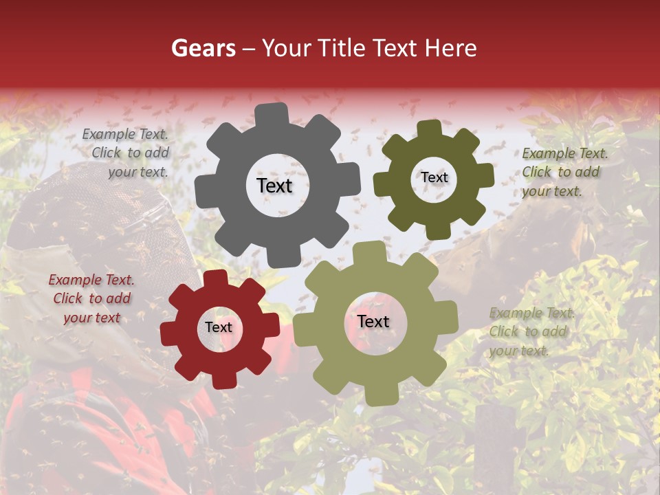 Country Honey Apiary PowerPoint Template