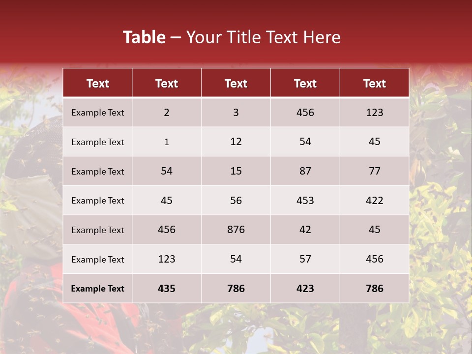 Country Honey Apiary PowerPoint Template