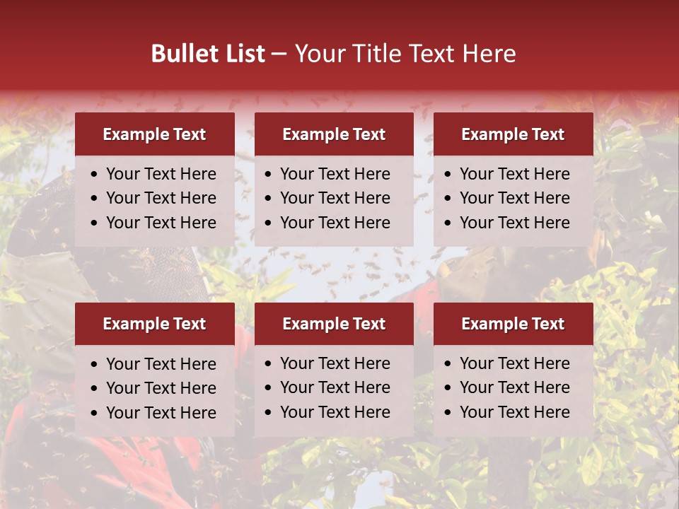 Country Honey Apiary PowerPoint Template