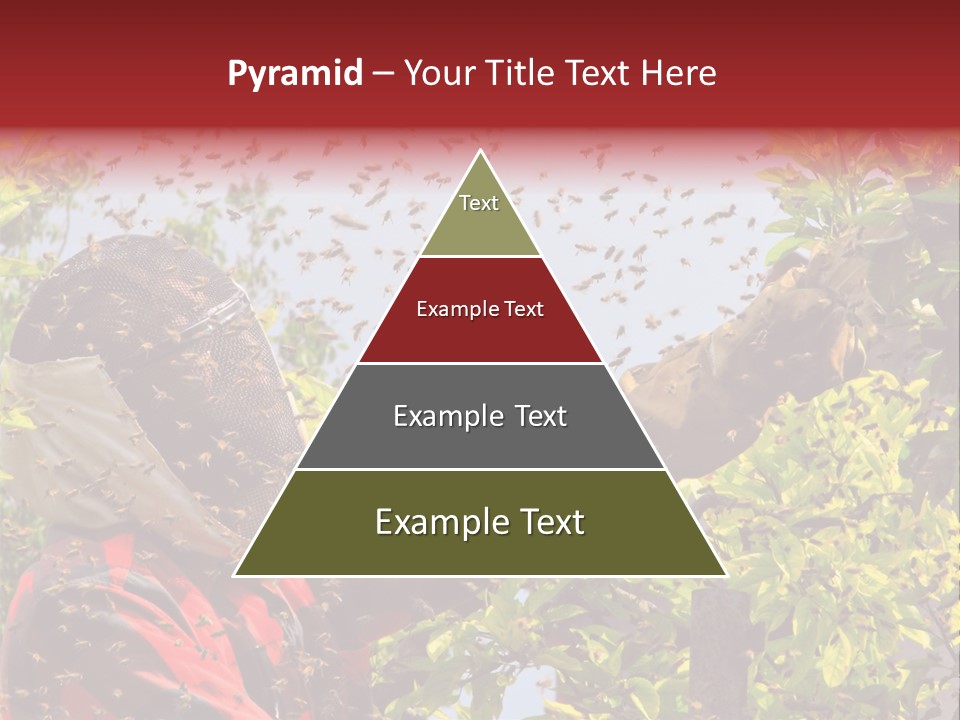 Country Honey Apiary PowerPoint Template