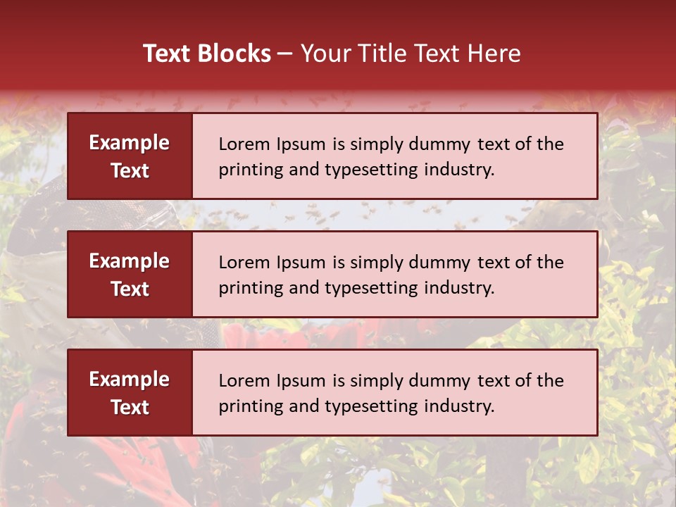 Country Honey Apiary PowerPoint Template