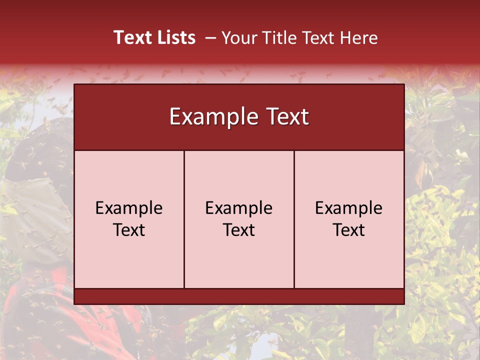 Country Honey Apiary PowerPoint Template