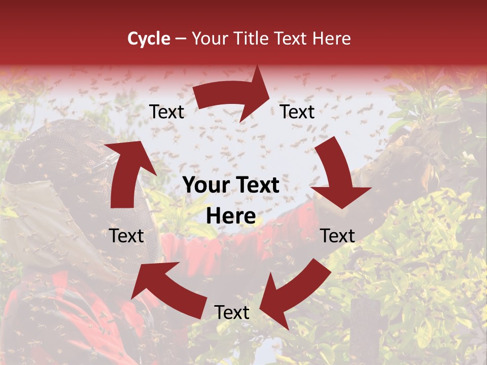 Country Honey Apiary PowerPoint Template