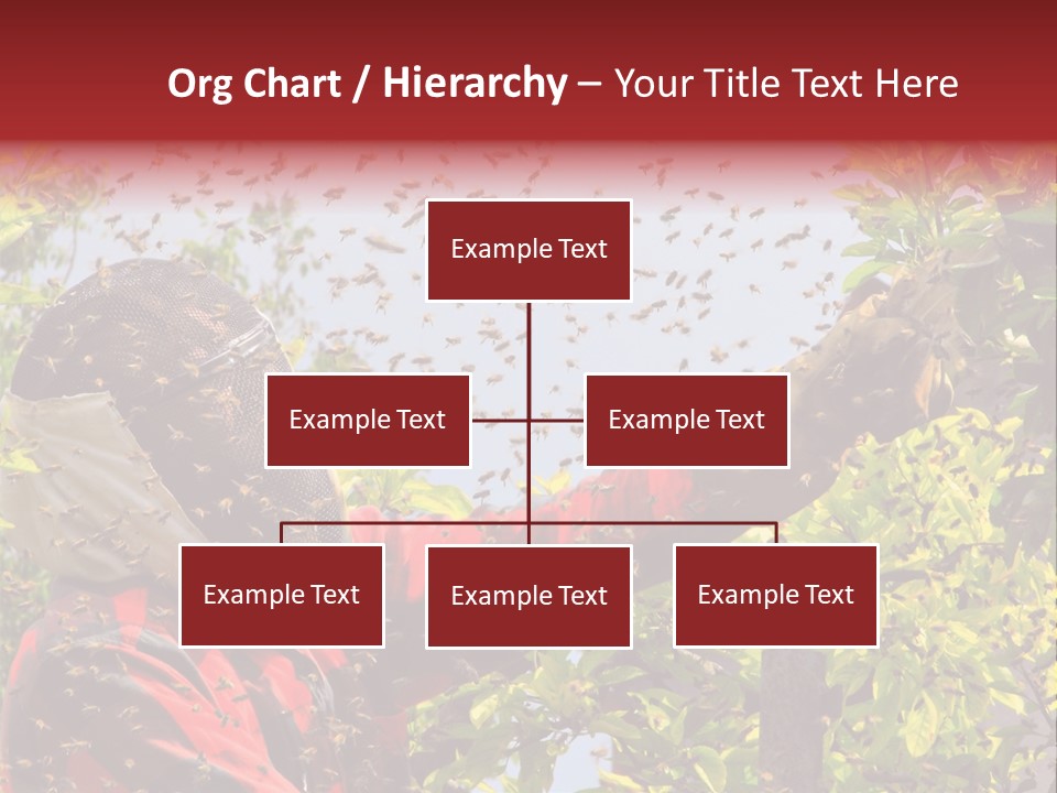 Country Honey Apiary PowerPoint Template
