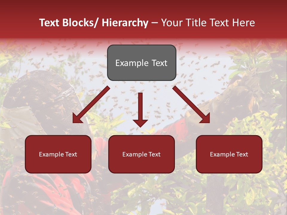 Country Honey Apiary PowerPoint Template
